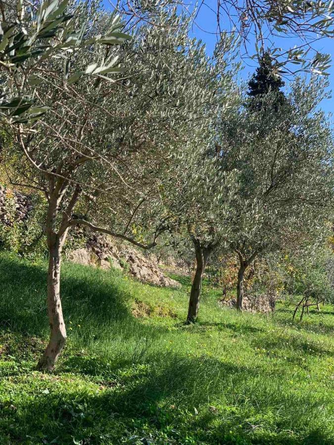 Appartamento Ranc Mujica Bar Esterno foto