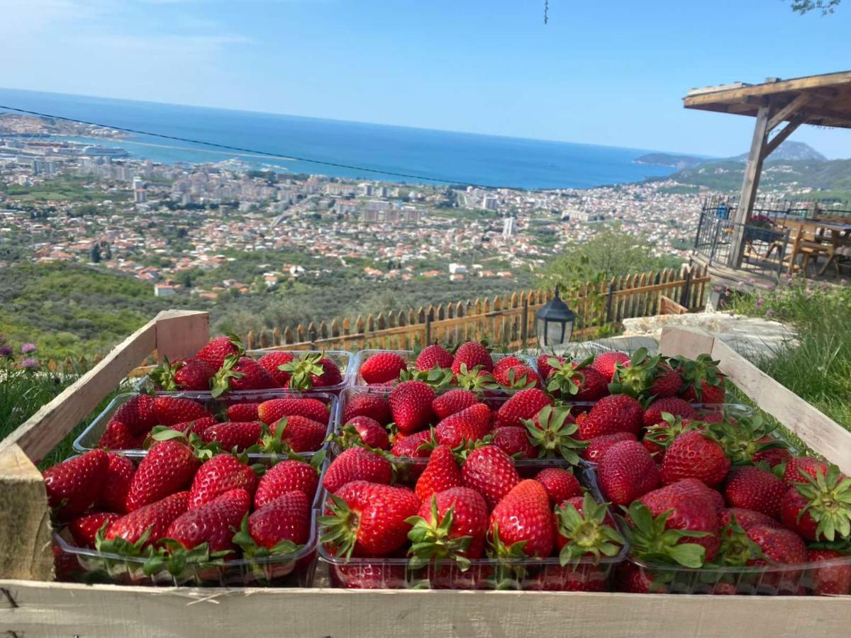Appartamento Ranc Mujica Bar Esterno foto