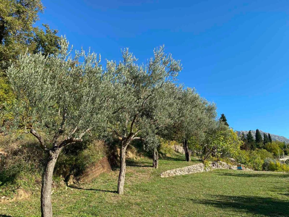 Appartamento Ranc Mujica Bar Esterno foto